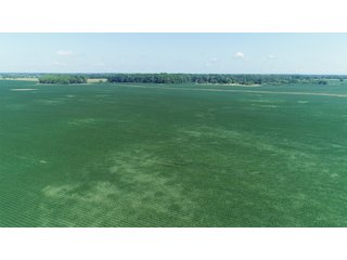 Farmland in Fulton & Marshall Counties, Indiana - LAND AUCTION - 541.3+/- ACRES IN 9 TRACTS IN FULTON & MARSHALL COUNTIES, INDIANA